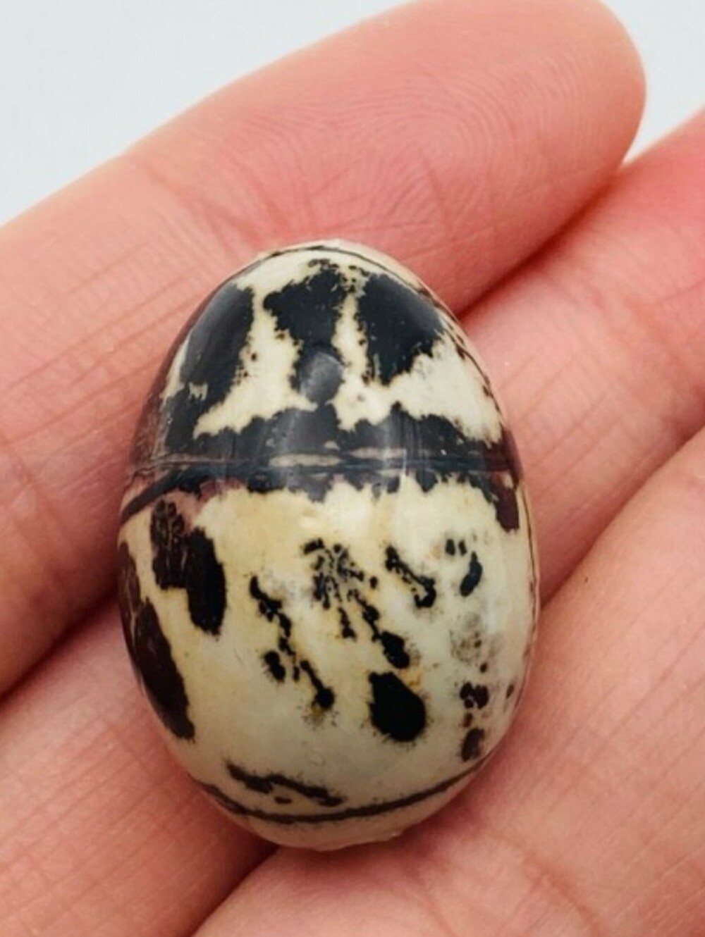 Natural Speckled Picture Jasper Egg Bead Pendant Cream and Black